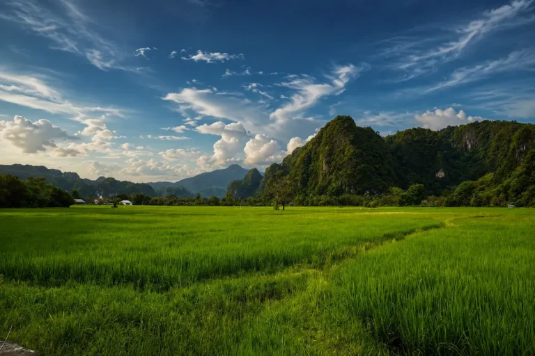 landscape leang leang