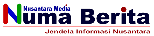 logo numab